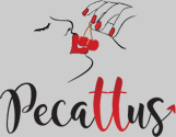                     Acompanhantes Penha (SC)|Pecattus                